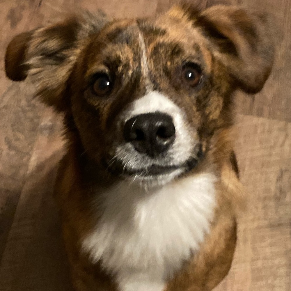 Meet your Posher, Sariah